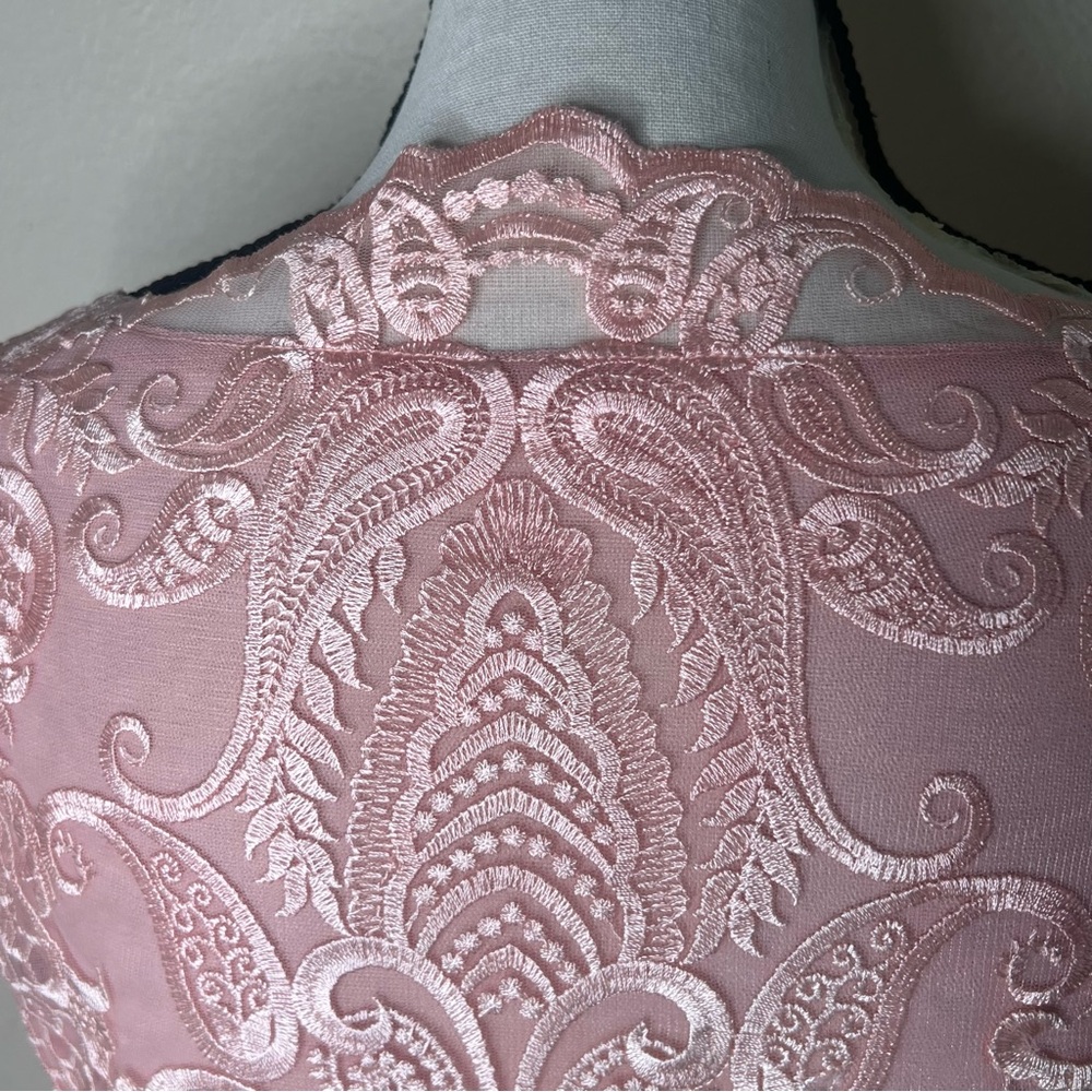 JJs House pink chiffon lace cocktail dress - Picture 5 of 8